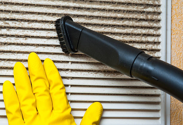 Air Duct Mold Removal in Linden, AZ